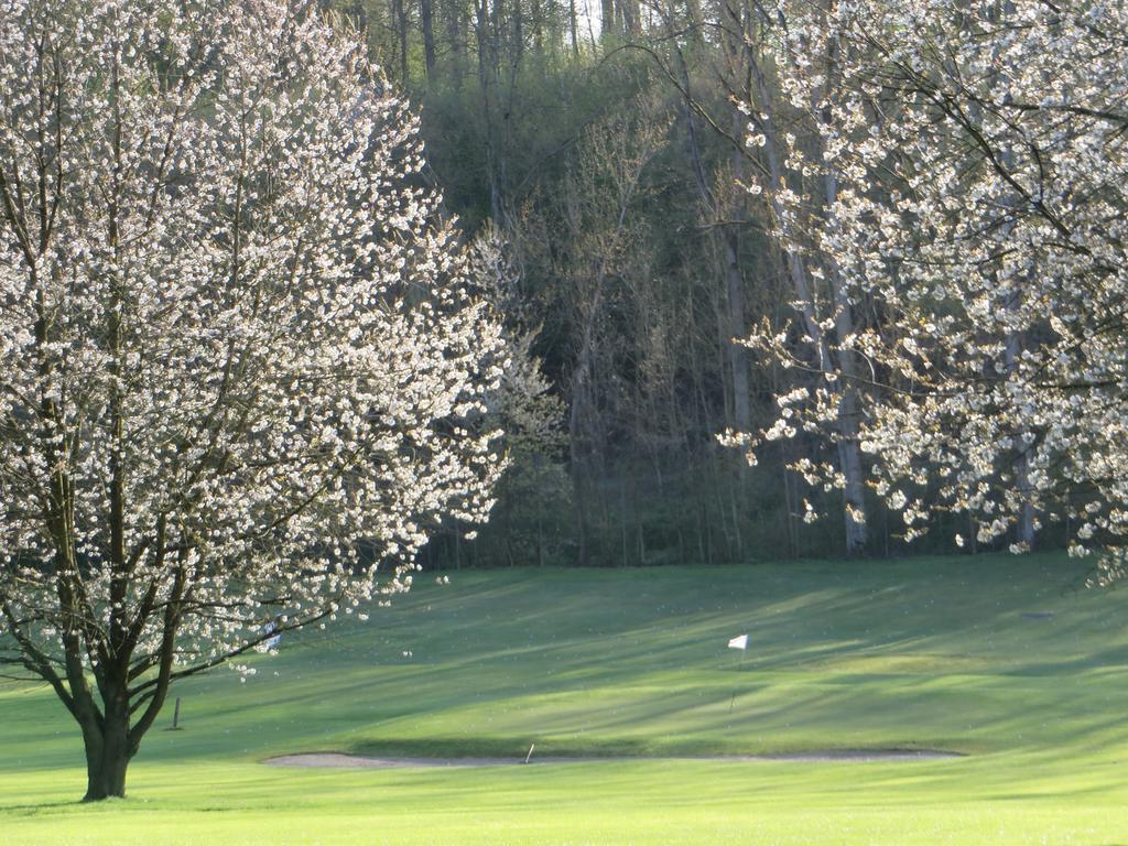 Golf & Hotel De Falnuee Mazy Luaran gambar